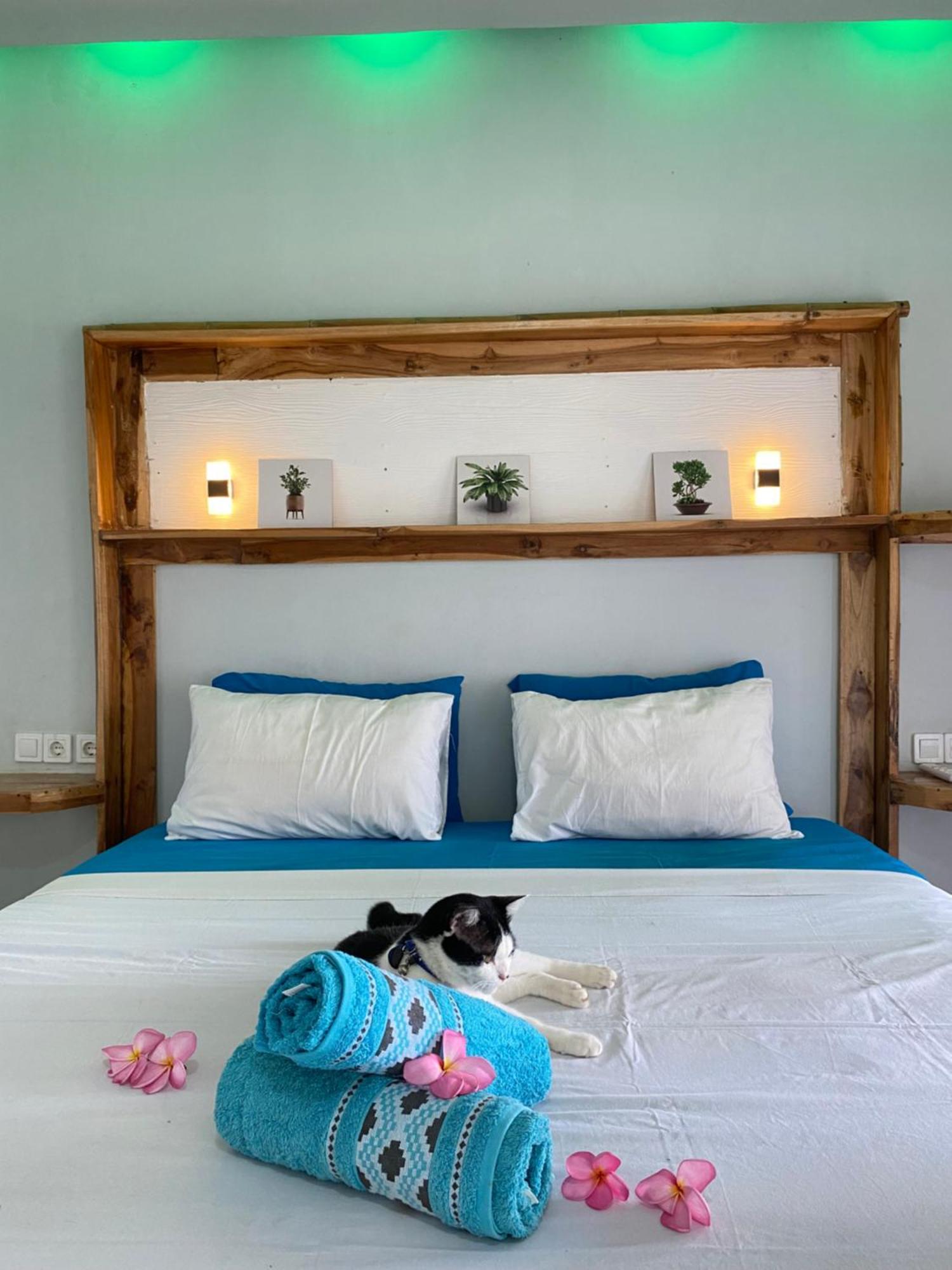 Marta House Gili Air酒店 外观 照片
