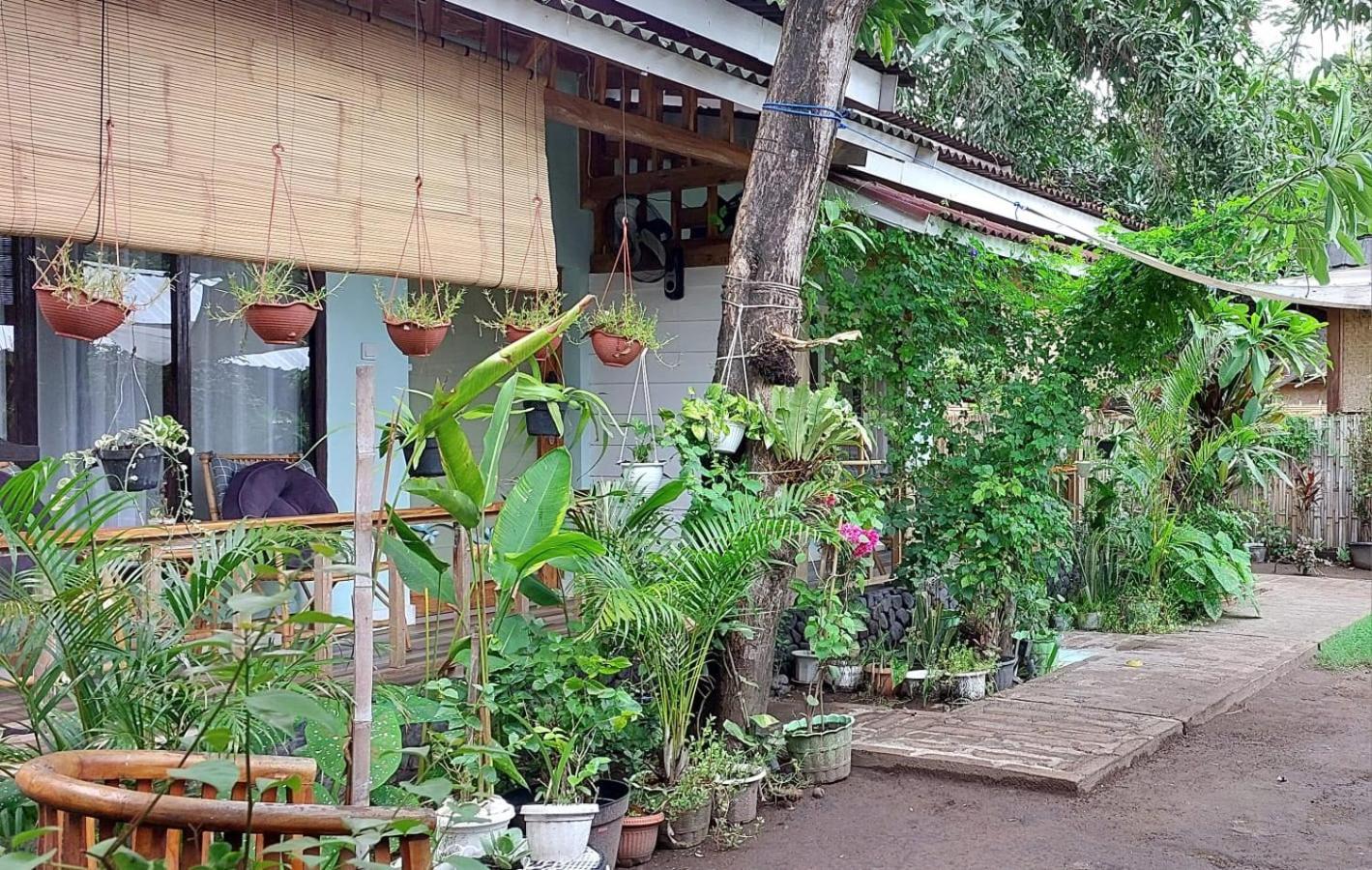 Marta House Gili Air酒店 外观 照片